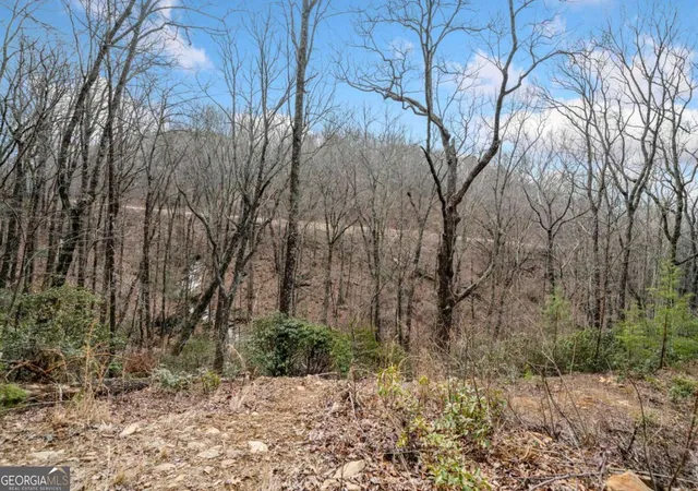 Photo 3 of Land for sale at 0 Big Oak Dr, Jasper, GA 30143 | MLS# 10451531 | Listing updated on 2026-02-03