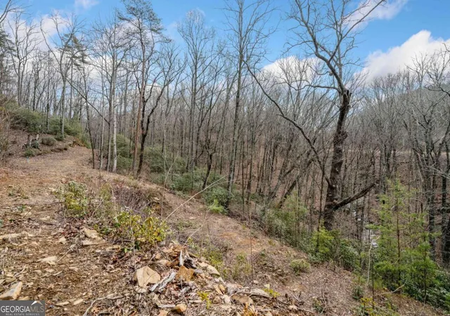 Photo 3 of Land for sale at 0 Big Oak Dr, Jasper, GA 30143 | MLS# 10451531 | Listing updated on 2026-02-03