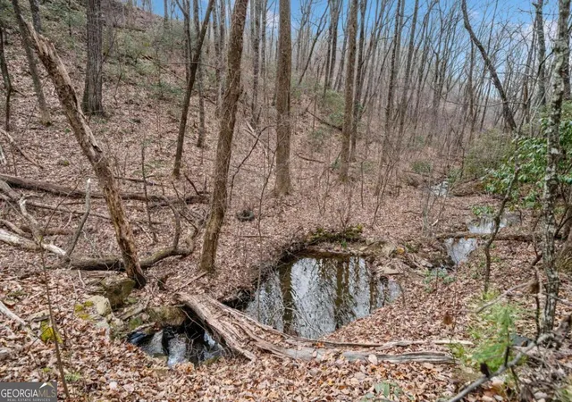 Photo 4 of Land for sale at 0 Big Oak Dr, Jasper, GA 30143 | MLS# 10451531 | Listing updated on 2026-02-03
