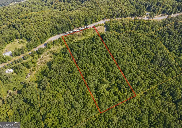 Homes for sale in Clarkesville, GA | 0 Kelly Mtn Rd, Clarkesville, GA 30523 | MLS# 10800338