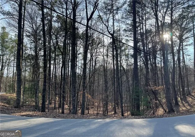 Photo 1 of Land for sale at 397em Lemmon Dr, Ellijay, GA 30540 | MLS# 10878554 | Listing updated on 2026-10-26
