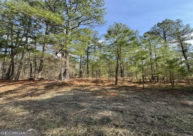 Homes for sale in Tignall, GA | 0 Anthony Shoals Rd, Tignall, GA 30668 | MLS# 10705341