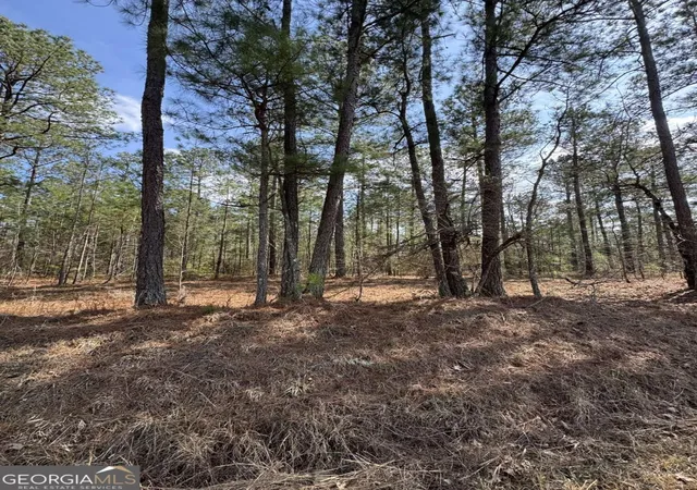 Photo 3 of Sale Pending at 0 Anthony Shls Rd, Tignall, GA 30668 | MLS# 10705341 | Listing updated on 2026-04-07