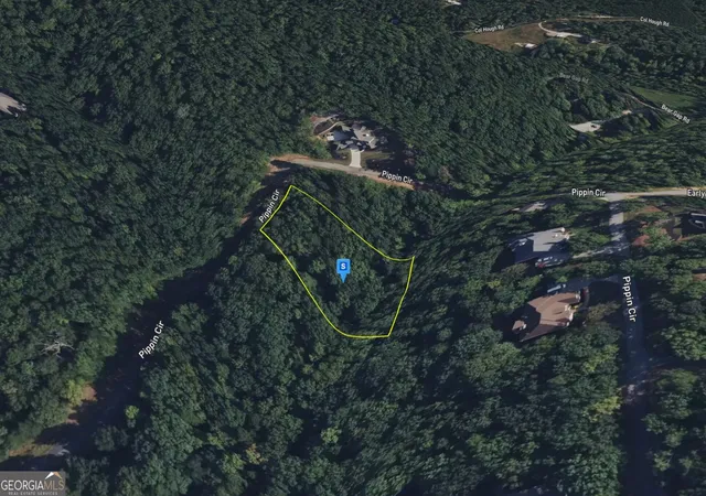 Homes for sale in Clarkesville, GA | 295 Pippin Cir, Clarkesville, GA 30523 | MLS# 10776645