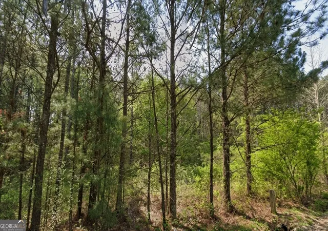 Homes for sale in Aragon, GA | 0 Collard Valley Road #LOT 1, Aragon, GA 30104 | MLS# 10793738