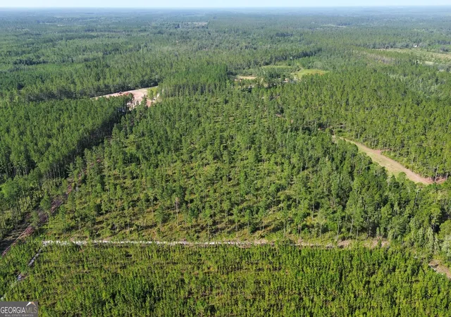 Photo 3 of Land for sale at 0 Chimney Rock Rd, White Oak, GA 31568 | MLS# 10804792 | Listing updated on 2026-10-09