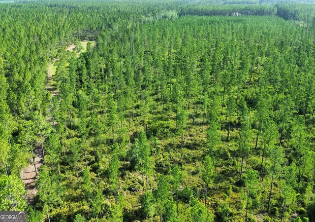 Photo 4 of Land for sale at 0 Chimney Rock Rd, White Oak, GA 31568 | MLS# 10804792 | Listing updated on 2026-10-09