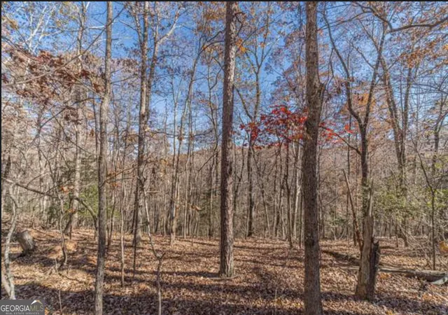 Photo 3 of Land for sale at Lot 6 Arborwood Dr, Dahlonega, GA 30533 | MLS# 10811212 | Listing updated on 2026-09-13