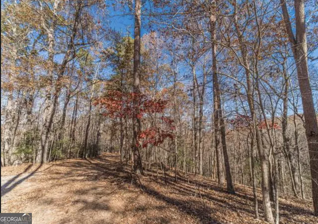 Photo 4 of Land for sale at Lot 6 Arborwood Dr, Dahlonega, GA 30533 | MLS# 10811212 | Listing updated on 2026-09-13