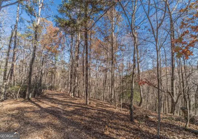 Photo 8 of Land for sale at Lot 6 Arborwood Dr, Dahlonega, GA 30533 | MLS# 10811212 | Listing updated on 2026-09-13