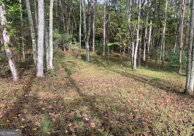 Photo 1 of Land for sale at Lot 132 Fox Cvs Rd, Blairsville, GA 30512 | MLS# 10871278 | Listing updated on 2026-10-26