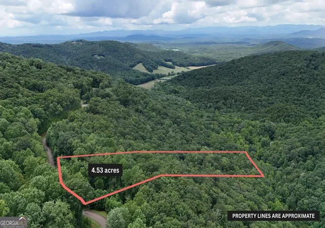 1st image of Lot 253 Stone Cliff Dr, Ellijay, GA 30536 | MLS# 10816105