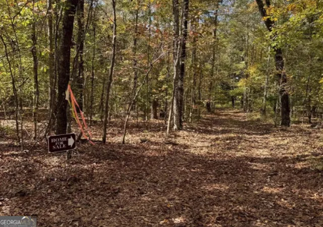 Photo 3 of Land for sale at 257 Acres Flint River Rd, Molena, GA 30258 | MLS# 10767254 | Listing updated on 2026-06-04