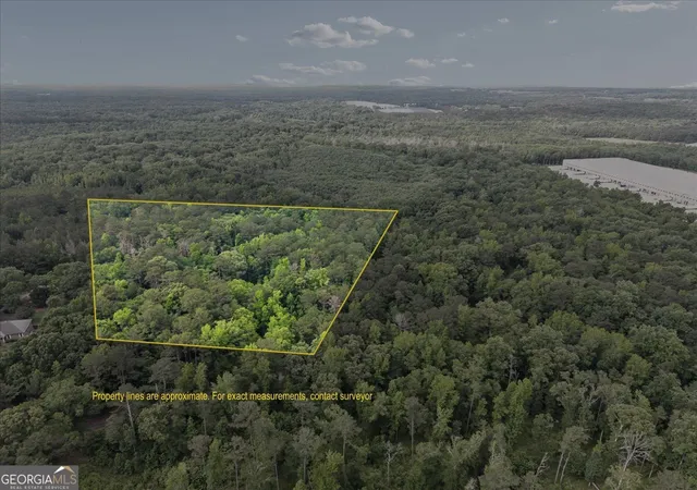 40th image of 971 Cochran Rd, Covington, GA 30014 | MLS# 10776232
