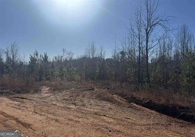 Homes for sale in Roanoke, AL | 1661 County Road 637, Roanoke, AL 36274 | MLS# 10802012