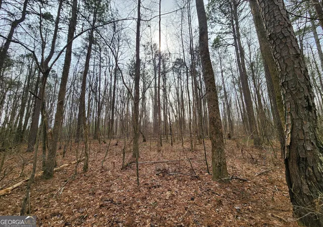 4th image of 5624 Browns Mill Rd, Lithonia, GA 30038 | MLS# 10685269