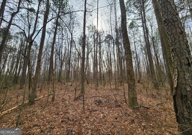 5th image of 5624 Browns Mill Rd, Lithonia, GA 30038 | MLS# 10685269