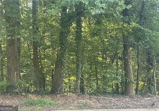3rd image of 0 Ale Cir, Atlanta, GA 30344 | MLS# 10828391