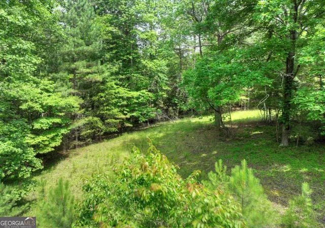 1st image of Lot 132 Fox Cove Rd #132, Blairsville, GA 30512 | MLS# 10794419