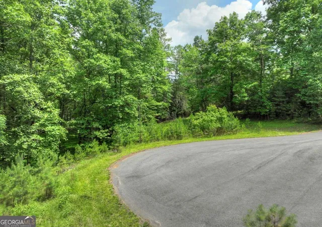 3rd image of Lot 132 Fox Cove Rd #132, Blairsville, GA 30512 | MLS# 10794419