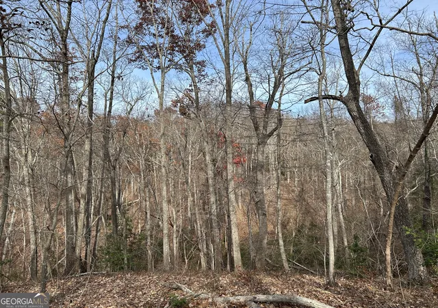 1st image of 0 Hwy 105, Baldwin, GA 30511 | MLS# 10807650