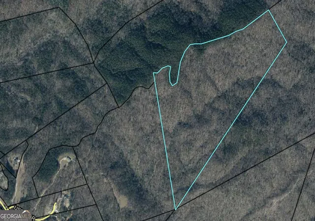 Photo 3 of Land for sale at 0 Highway 105, Baldwin, GA 30511 | MLS# 10807650 | Listing updated on 2026-07-31