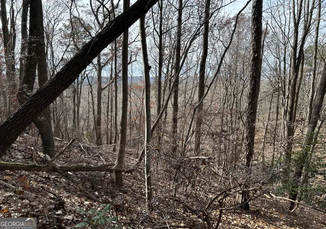 Photo 3 of Land for sale at 0 Highway 105, Baldwin, GA 30511 | MLS# 10807650 | Listing updated on 2026-07-31