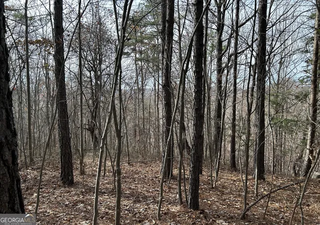 Photo 4 of Land for sale at 0 Highway 105, Baldwin, GA 30511 | MLS# 10807650 | Listing updated on 2026-07-31