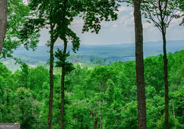 1st image of Lot 411 Calloway Mountain Rd, Talking Rock, GA 30175 | MLS# 10766741