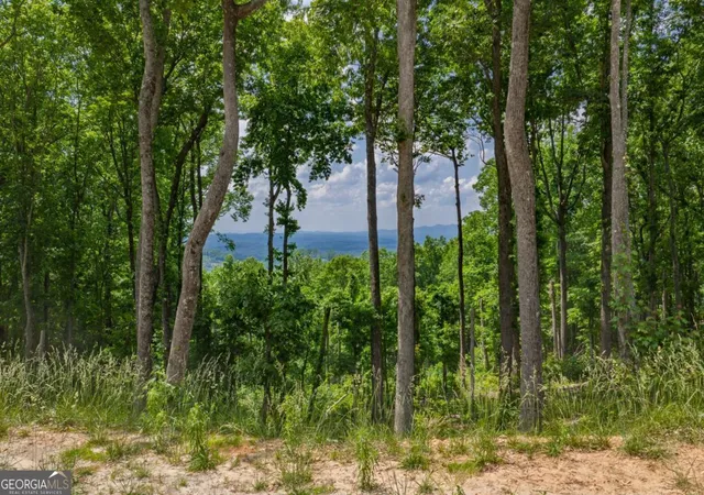 4th image of Lot 411 Calloway Mountain Rd, Talking Rock, GA 30175 | MLS# 10766741