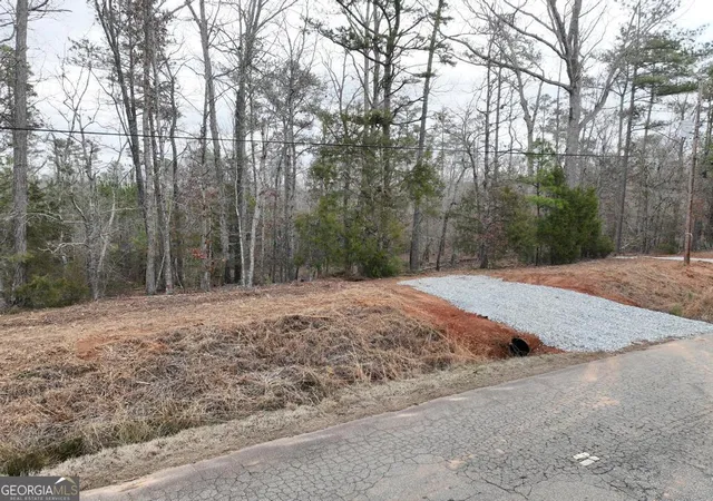 Homes for sale in Flovilla, GA | 177 Rock Creek Rd, Flovilla, GA 30216 | MLS# 10796427