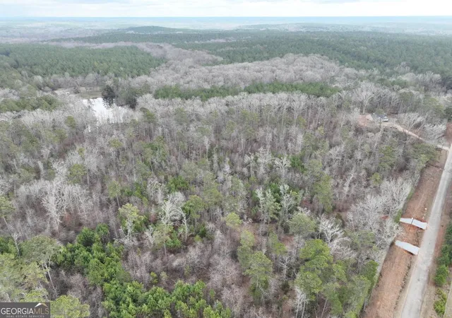 5th image of 177 Rock Creek Rd, Flovilla, GA 30216 | MLS# 10796427
