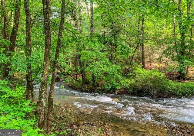 82nd image of 1225 Walnut Rdg, Ellijay, GA 30536 | MLS# 10632896