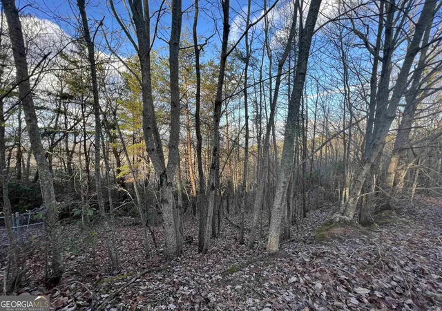 2nd image of 0 Daybreak Rd, Cleveland, GA 30528 | MLS# 10822384