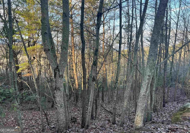 4th image of 0 Daybreak Rd, Cleveland, GA 30528 | MLS# 10822384