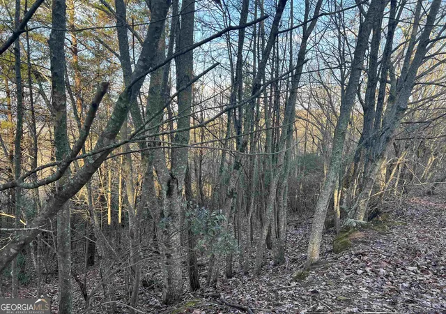 5th image of 0 Daybreak Rd, Cleveland, GA 30528 | MLS# 10822384