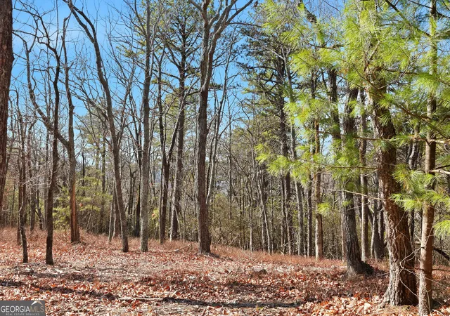 Homes for sale in Clarkesville, GA | Lot 58 Mountain Sweet Dr, Clarkesville, GA 30523 | MLS# 10778222