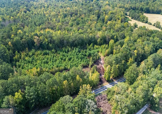 Photo 3 of Land for sale at 9349 Acres Forrest Rd, Grantville, GA 30220 | MLS# 10614274 | Listing updated on 2026-07-31