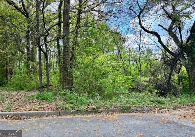 3rd image of 420 Pickfair Ave Sw, Atlanta, GA 30315 | MLS# 10731076