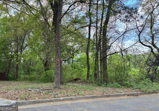 4th image of 420 Pickfair Ave Sw, Atlanta, GA 30315 | MLS# 10731076