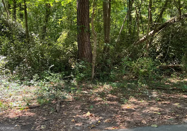 Photo 3 of Land for sale at 0 Tye, Stockbridge, GA 30281 | MLS# 10692763 | Listing updated on 2026-06-17