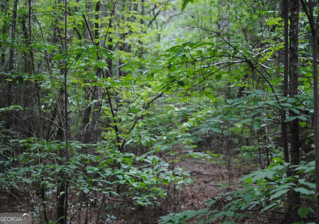 3rd image of 4509 Sr 18 Hwy, West Point, GA 31833 | MLS# 10827583