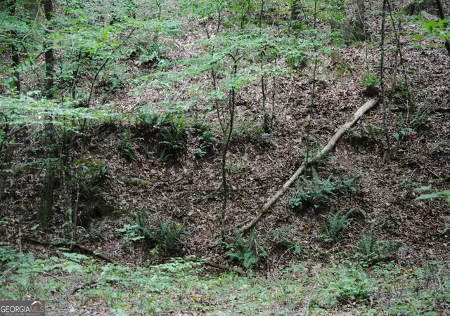 4th image of 4509 Sr 18 Hwy, West Point, GA 31833 | MLS# 10827583