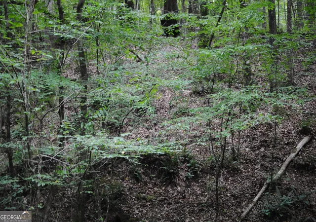 5th image of 4509 Sr 18 Hwy, West Point, GA 31833 | MLS# 10827583