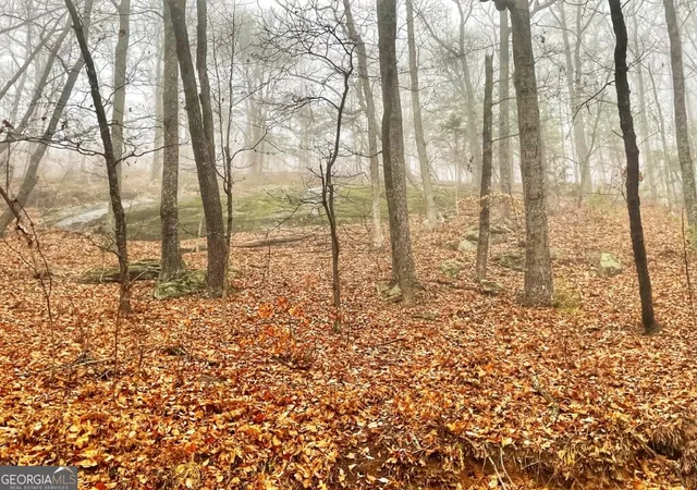 Photo 1 of Land for sale at 0 Fox Mountain Rd, Hiddenite, NC 28636 | MLS# 10816390 | Listing updated on 2026-08-14