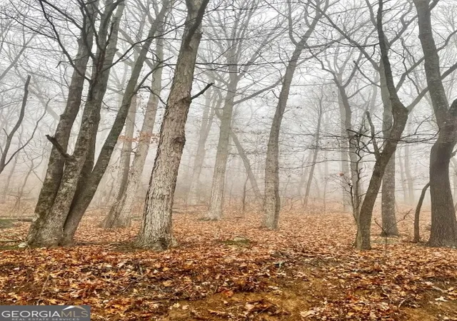 Photo 2 of Land for sale at 0 Fox Mountain Rd, Hiddenite, NC 28636 | MLS# 10816390 | Listing updated on 2026-08-14