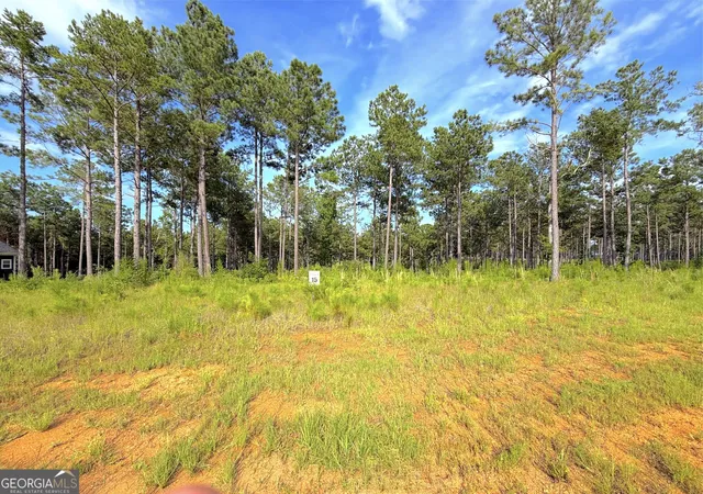 5th image of 228 Whispering Ridge #LOT 15, Milledgeville, GA 31061 | MLS# 10813235