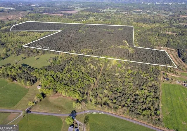 Land for sale at 205+ Ac Maddron Rd, Crandall, GA 30711 | MLS# 10824389