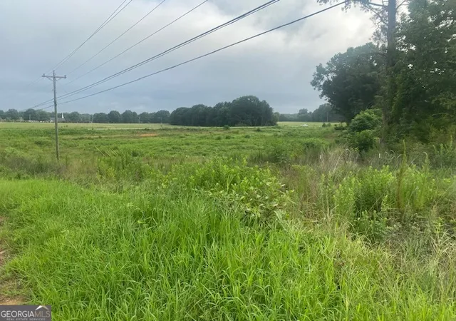 Photo 3 of Land for sale at Hwy 83 Connecto Connector, Monroe, GA 30655 | MLS# 10815065 | Listing updated on 2026-08-12