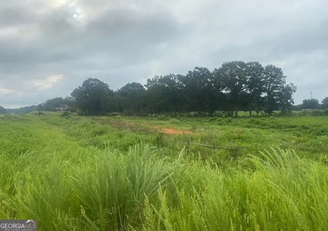 Photo 4 of Land for sale at Hwy 83 Connecto Connector, Monroe, GA 30655 | MLS# 10815065 | Listing updated on 2026-08-12